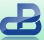 Chongqing Pump Industry Co., Ltd. Chongqing Pump Industry Co., Ltd.